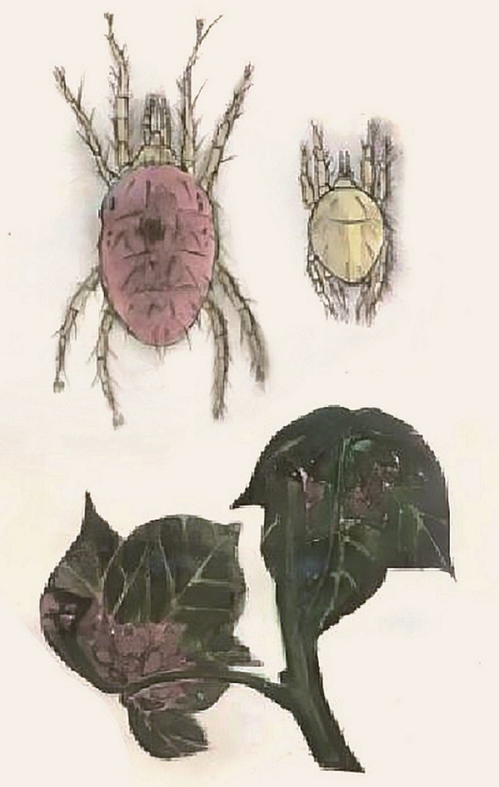 176149561317807.jpg 微信图片_20251026001323_209_3.jpg