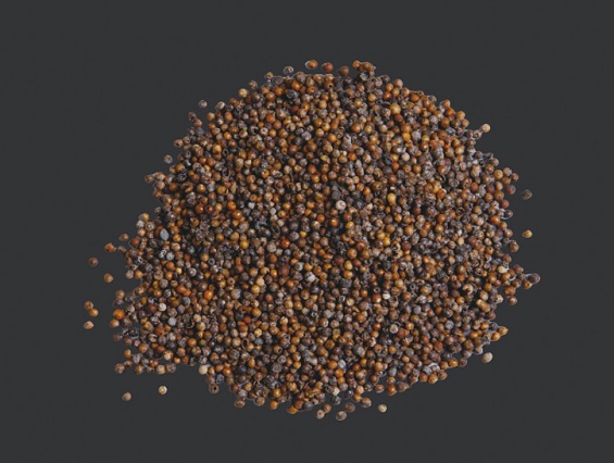 176187433713801.jpg 微信图片_20251031092003.jpg