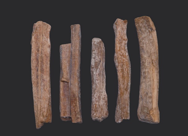 176187436897432.jpg 微信图片_20251031092023.jpg