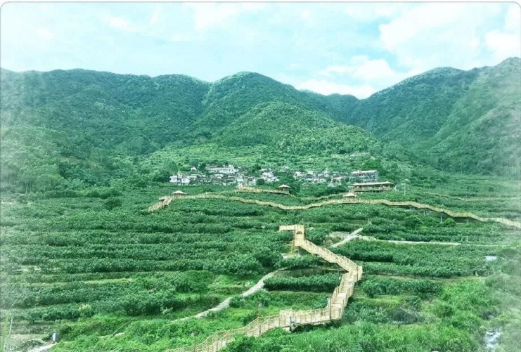 176210016013493.jpg 微信图片_20251103001054_178_8.jpg