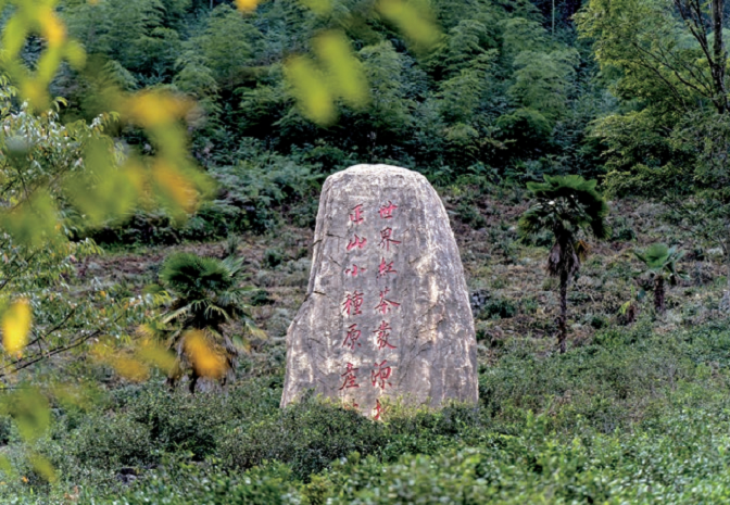 176285390456574.png 图片.png41.png