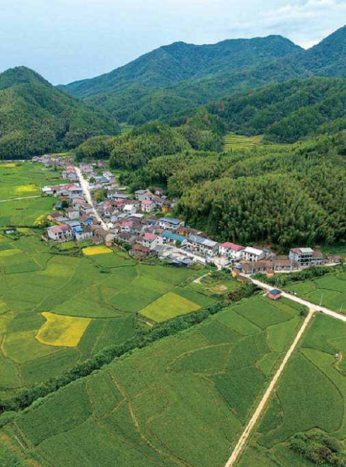 176320603932305.png 图片53.png