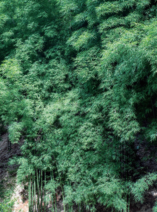 176468898923747.png 图片.png15.png