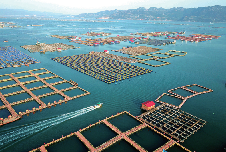 176901045643198.png 第272页-93.PNG