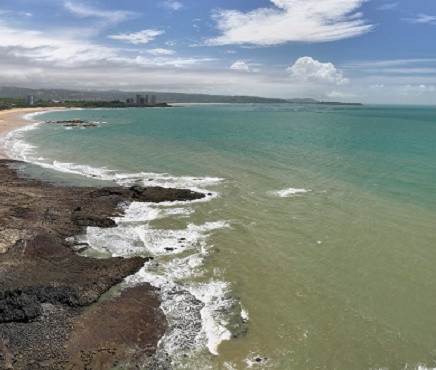 图片35 - 副本.png