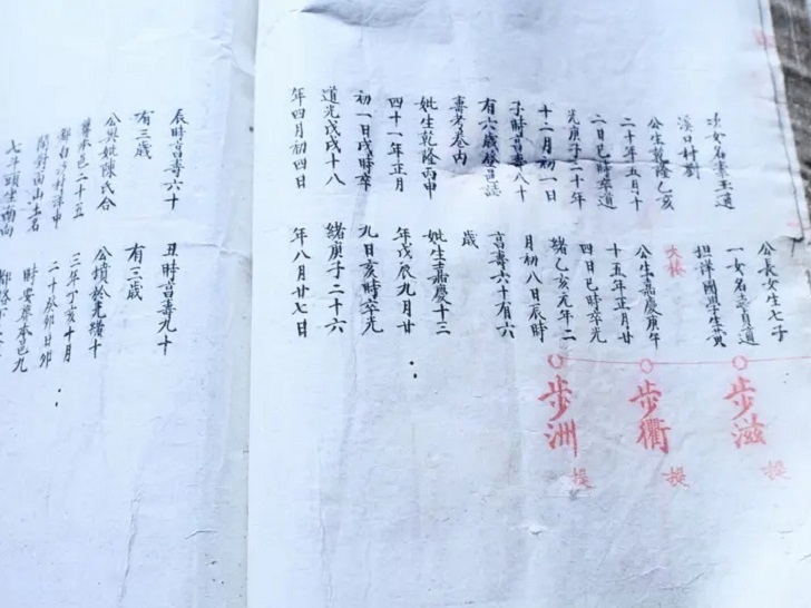 177235673989225.jpg 微信图片_20260301171228_634_8.jpg