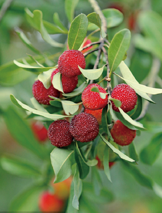 177512214192646.png 图片.png62.png