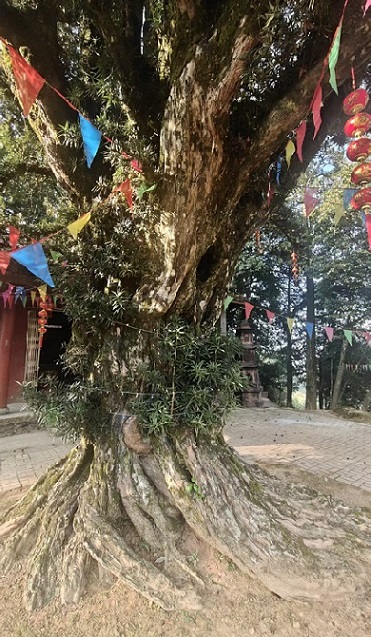 微信图片_20260416181011_77_163.jpg